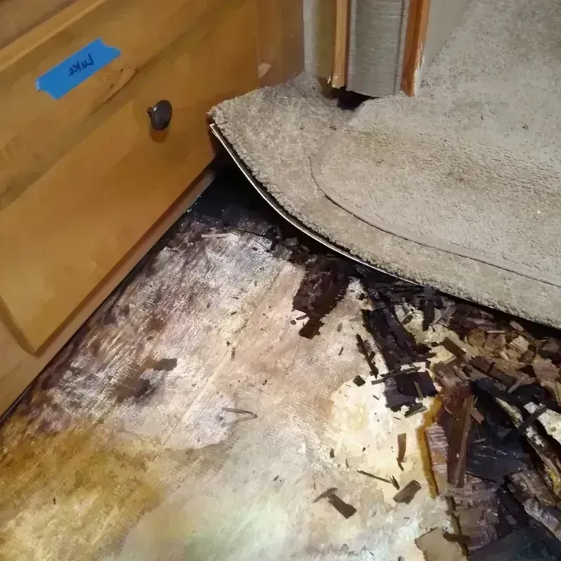 Best Wood Floor Water Damage Service in Doffing, TX